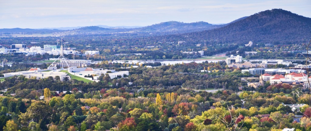 Small business driving Canberra property market