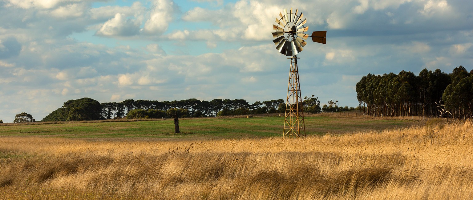 Australian farms are a hot commodity among overseas buyers
