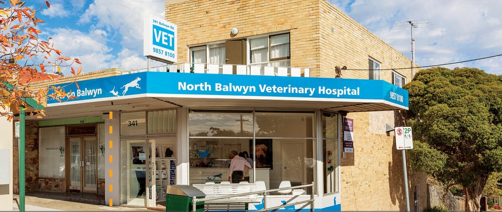 This North Balwyn veterinary clinic sold on a 1.49% yield