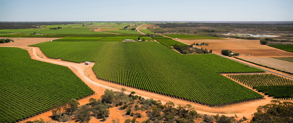 One of the Littore wineries in Mildura is among the portfolio for sale
