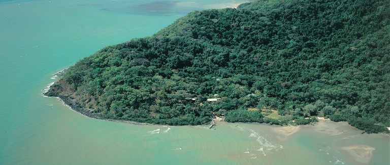 Daintree resort Bloomfield Lodge in search for saviour