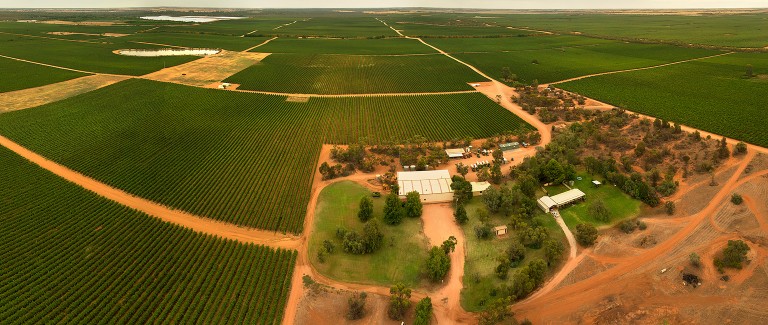 Del Rios vineyard hangs vacancy sign