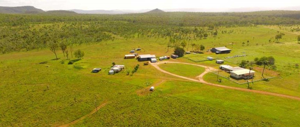 Drama as Clive Palmer’s cattle station auction postponed