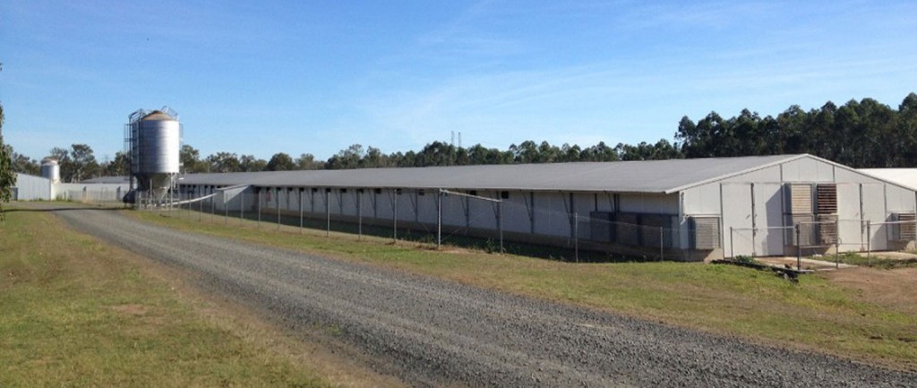 A chook farm leased to Steggles near Ipswich has sold to Sentinel Property Group for more than $22 million.
