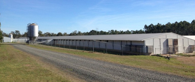 Sentinel tucks into Steggles chicken farm