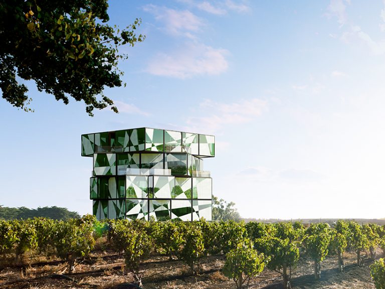 Giant Rubik’s Cube at home amongst vines