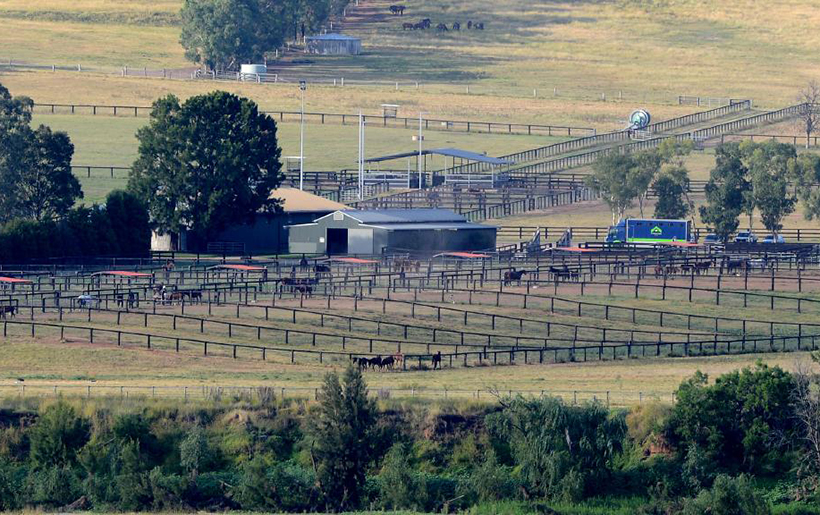 Horse yards at a Patinack Farm property in the NSW Hunter Valley.
