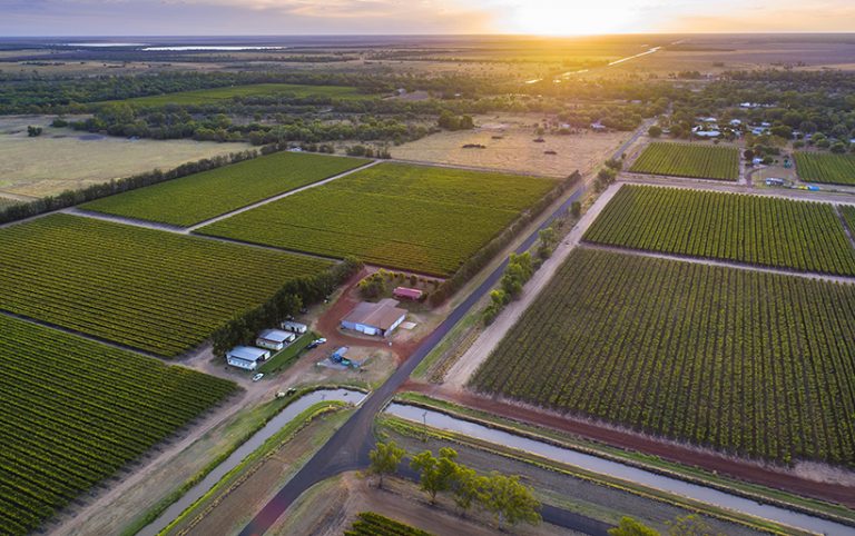 Embrace the daily rind at this Queensland citrus farm