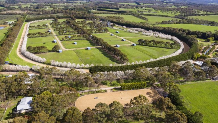 Race on to buy Mornington Peninsula horse estate