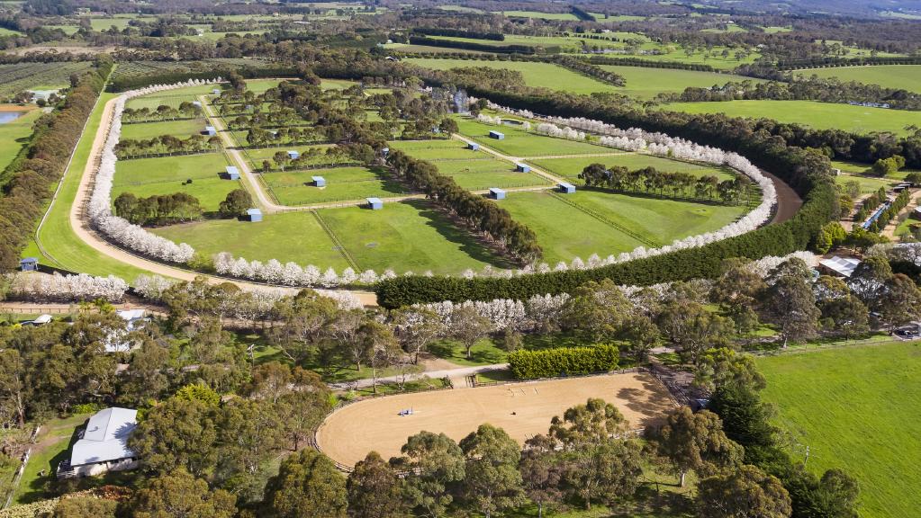 Stunning Denistoun Park is lined with ornamental trees.