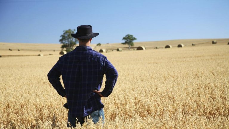 Golden land: Queensland farm values soar 10%