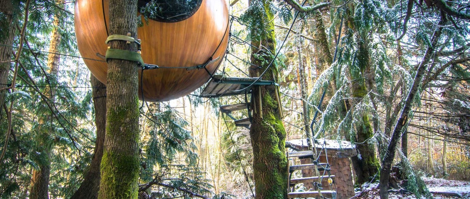 The perfect place to get away and spend some time in nature. Picture: Kerry Maguire / Free Spirit Spheres
