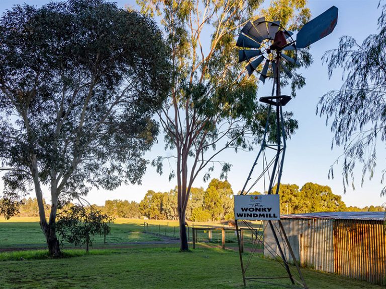 Wonky Windmill tourist attraction up for sale