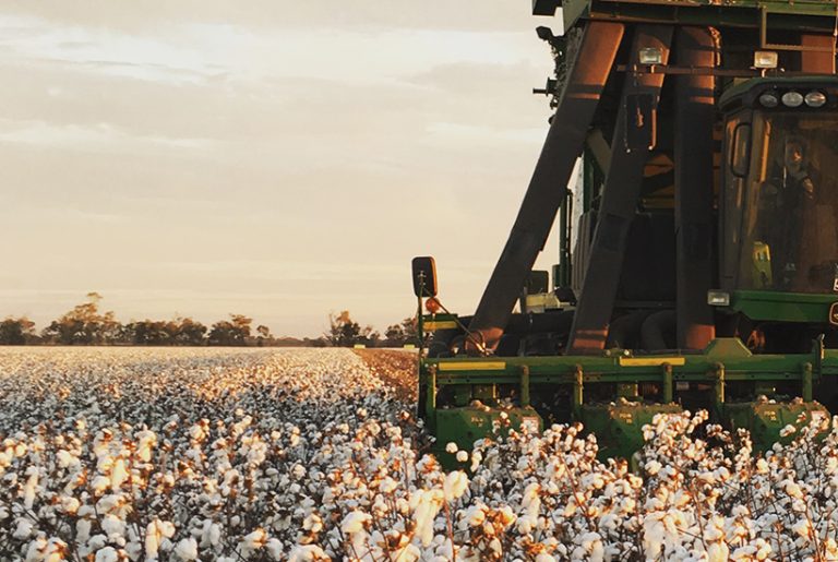 Investors to cotton onto award-winning farm