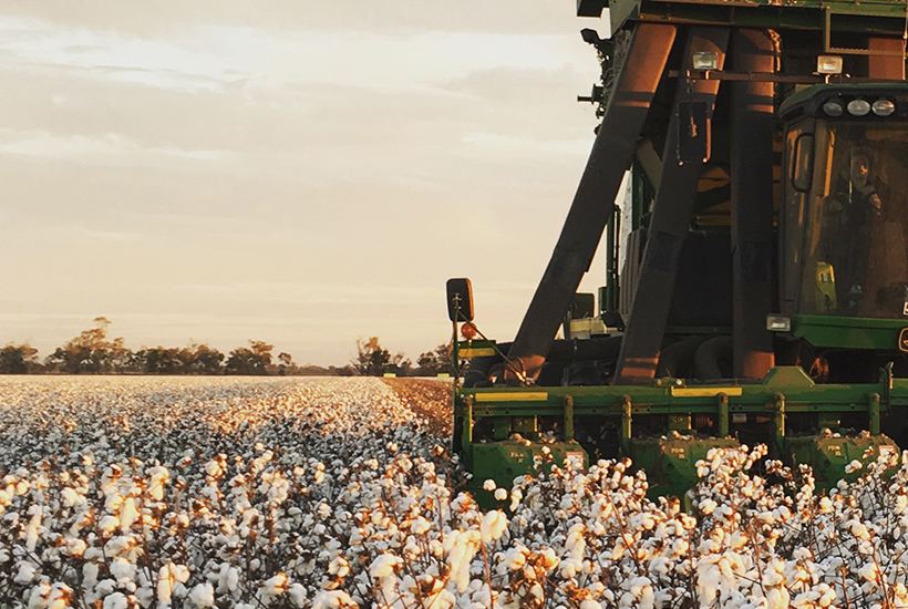 Norman Farming is selling a major Queensland cotton farm.
