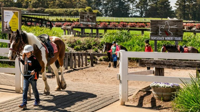 Crownbet director to sell unique Horseback Winery Tours venture