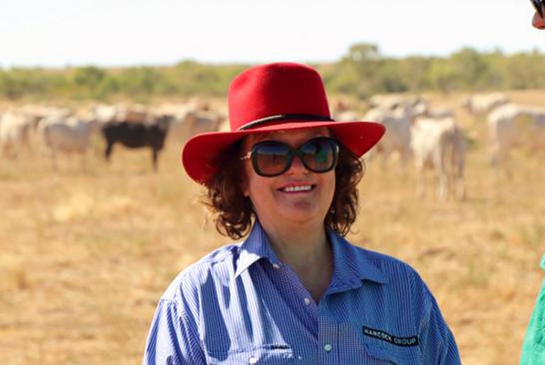 Gina Rinehart buys NT cattle station from Indonesian owners