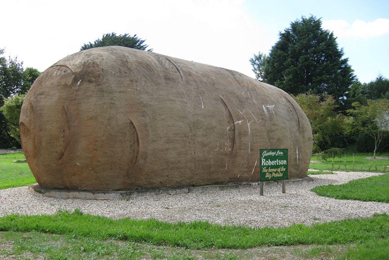 The ‘Big Potato’ could be yours