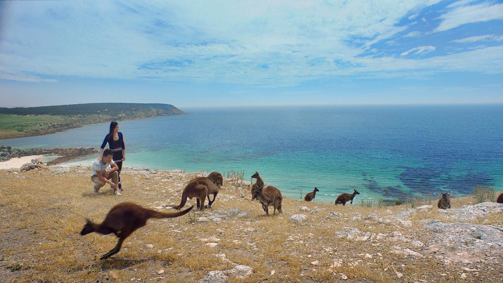 A prime coastal stretch of Crown Land is set to be disposed off by the State Government in support of an international standard golf course on the southeast coast of Kangaroo Island.