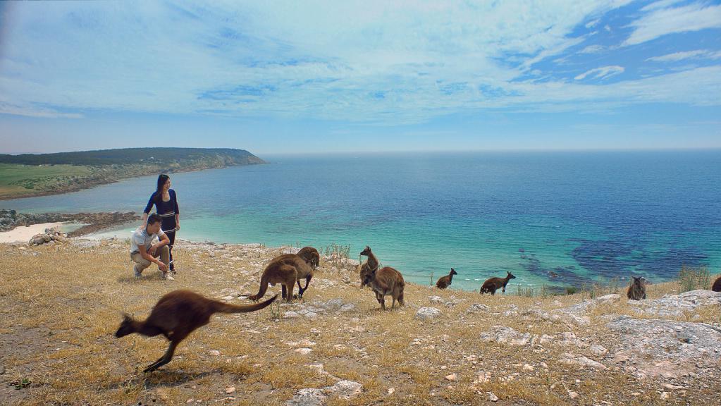 A prime coastal stretch of Crown Land is set to be disposed off by the State Government in support of an international standard golf course on the southeast coast of Kangaroo Island.
