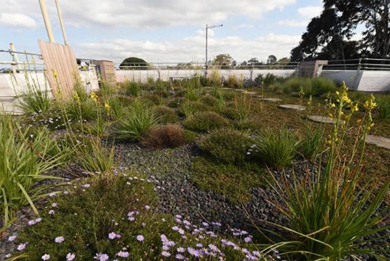Calls for ‘green roofs’ on all commercial buildings