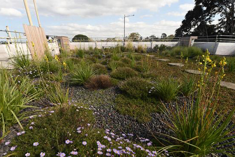 A St Kilda East apartment block’s retro-fitted “green roof”. Picture: Chris Eastman