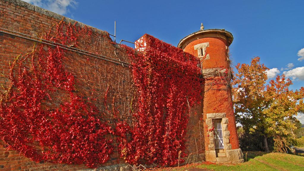 The Old Castlemaine Gaol at 36-42 Bowden St, Castlemaine, has sold for about $1.5 million.
