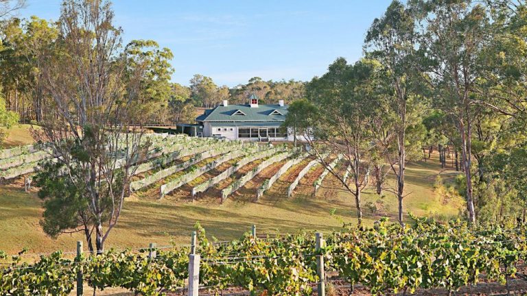 Wineries continue to have grape expectations