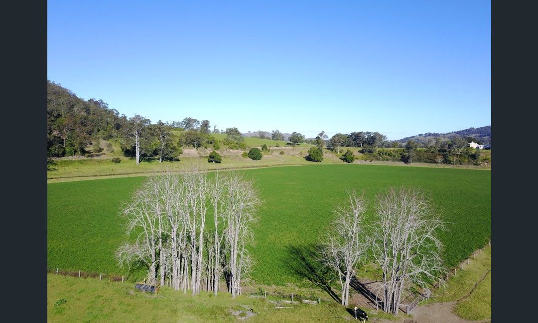Croom Park in Dungog in the NSW Hunter.
