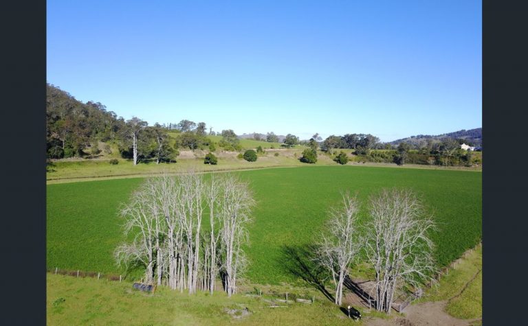 Horse breeders snap up major NSW Hunter landholding