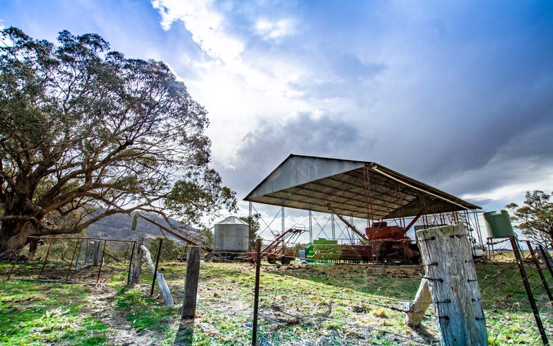 The Castle Hill farm fetched $3.6 million at auction.
