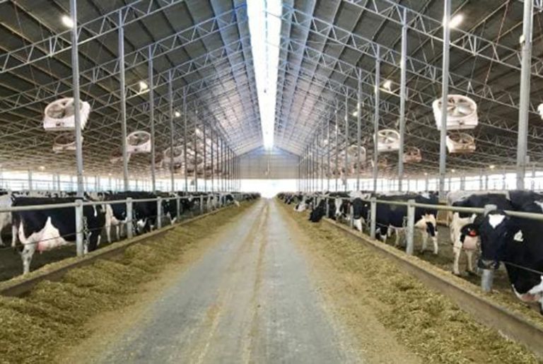 Spilt milk as Harvey Norman’s failed dairy farm sold