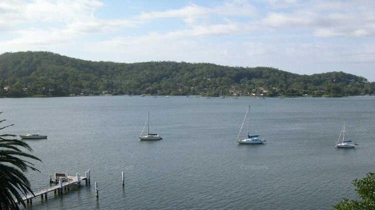 Marina, ferry wharf or shops mooted for East Gosford waterfront site