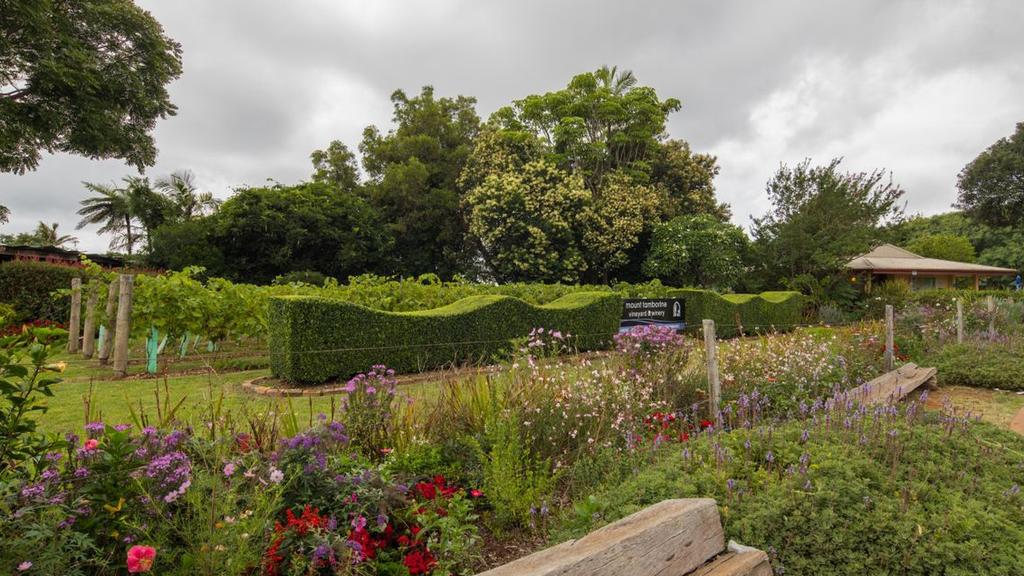 Queensland winery ripe for your picking