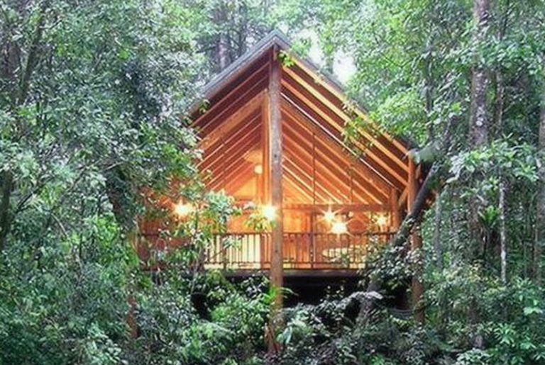 Treehouse eco-retreat a true Cairns tree change