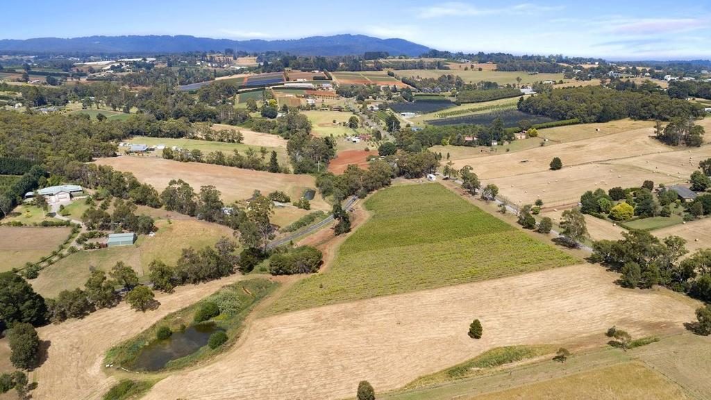 Looking for somewhere to wine down? A small-time vineyard in the Yarra Ranges is giving buyers the chance to barrel their own drop.
