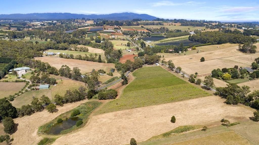 Looking for somewhere to wine down? A small-time vineyard in the Yarra Ranges is giving buyers the chance to barrel their own drop.