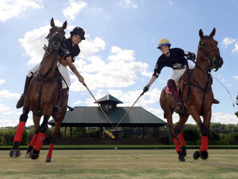 Sydney Polo Club estate destined for $75m sale