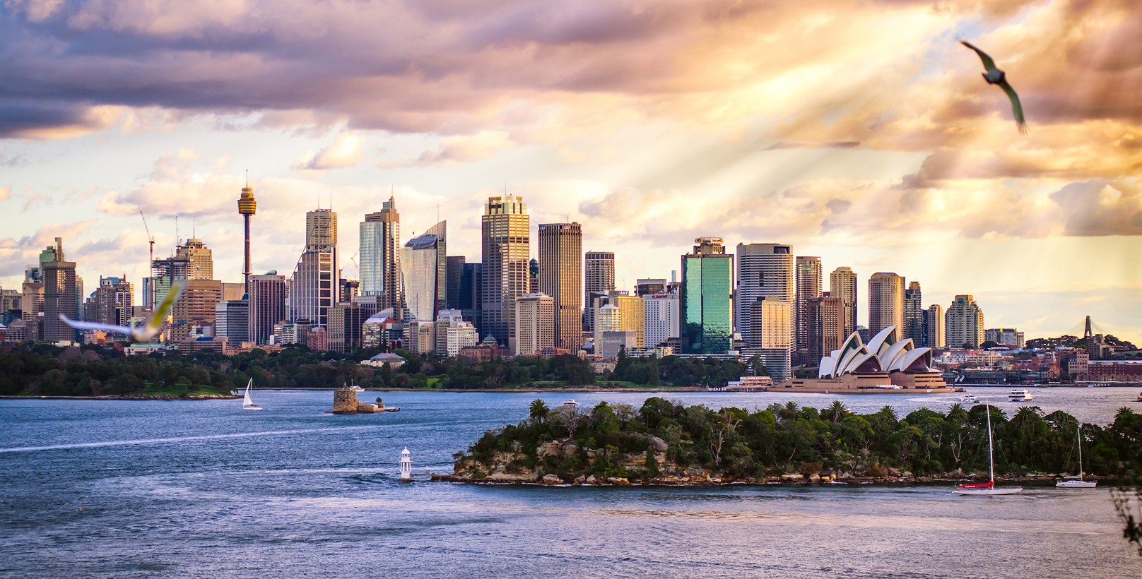 Sydney Skyline