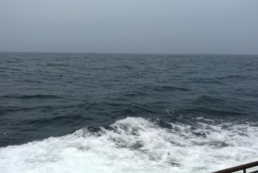 A picture from the auction site – presumably of the 210ha slice of Chinese ocean.