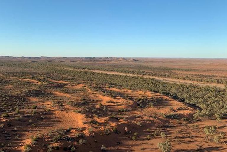Royal sheikh to sell NT cattle station