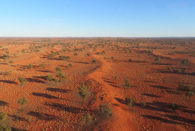 Billionaire sheik sells off NT cattle station for $7m-plus