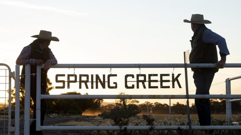 ‘Drought-proof’ rural SA farm set for huge result