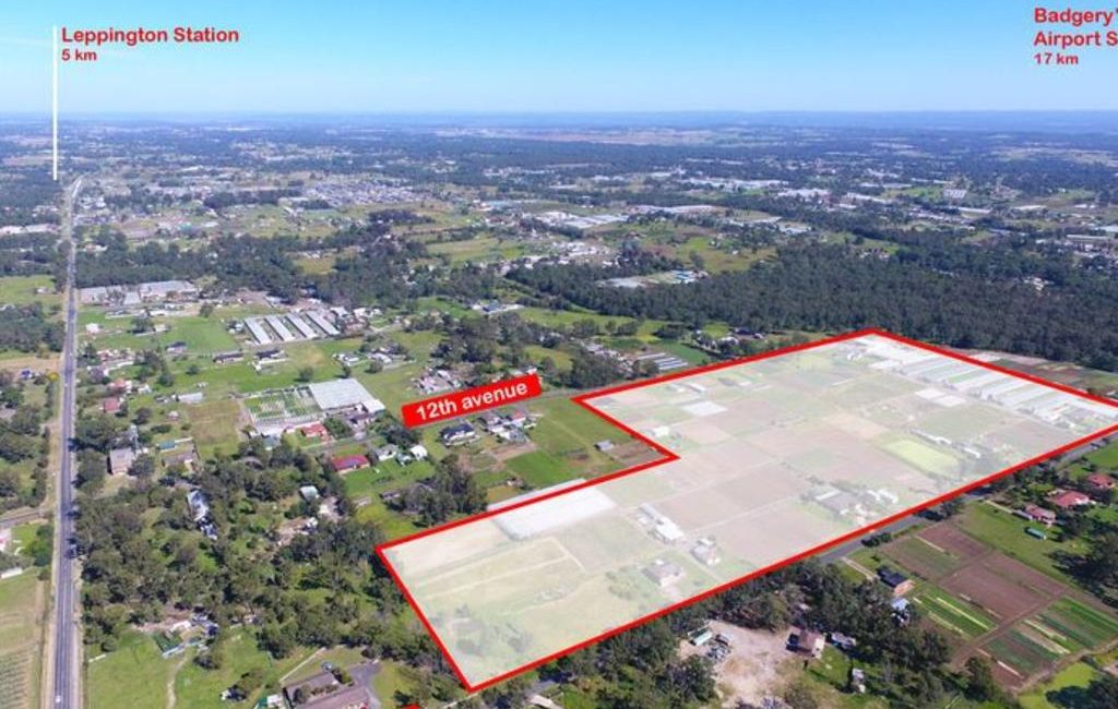 The property’s current owners have pooled together to sell the huge block of land in one go.
