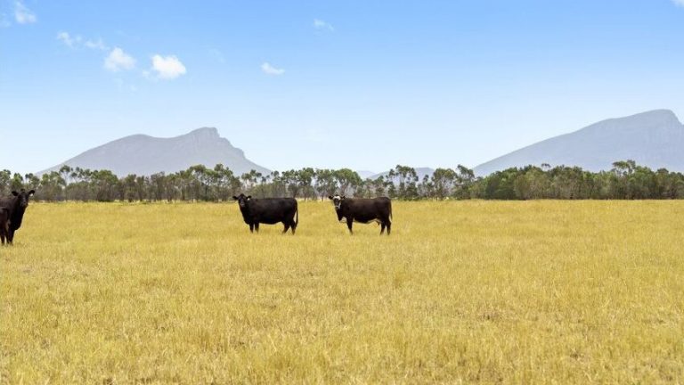 Part of historic farm Devon Park carved off for $14m