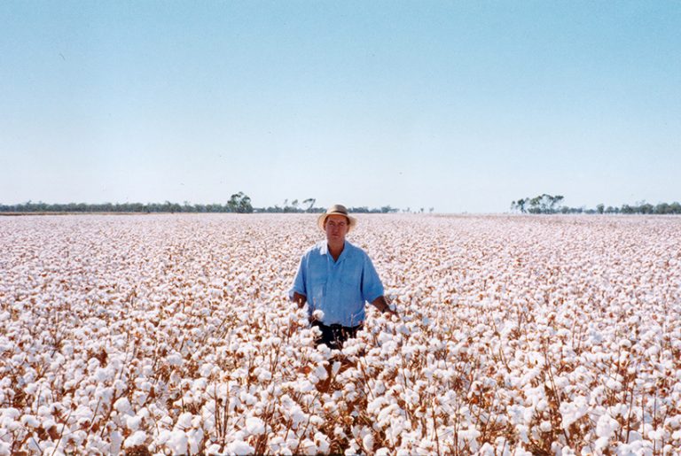 Once-in-a-century chance to buy NSW cotton farm