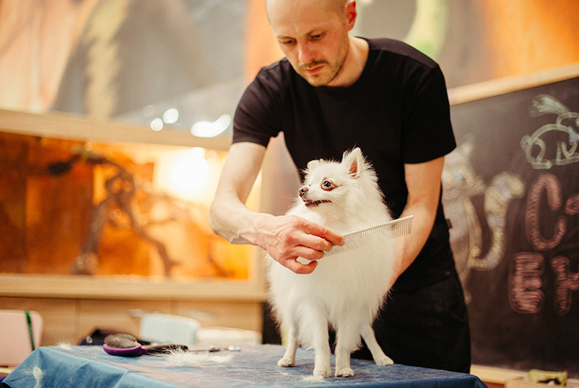 Pet grooming is allowed onsite.