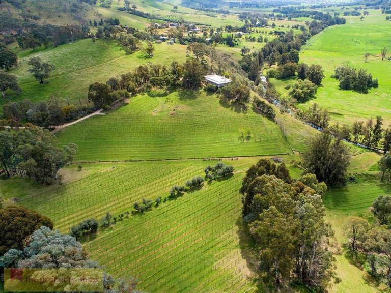 Martins Hill Vineyard in Mudgee’s wine region is offering buyers the chance to own a winery