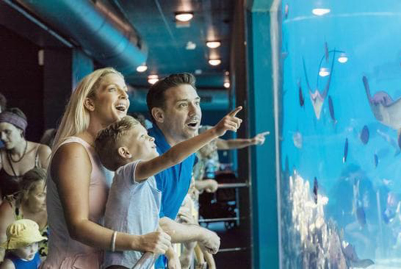 Warner Bros. Movie World and Sea World theme parks on the Gold Coast have been open to the public for some time and this meant an uplift for having the theme parks open would be triggered on November 13.
