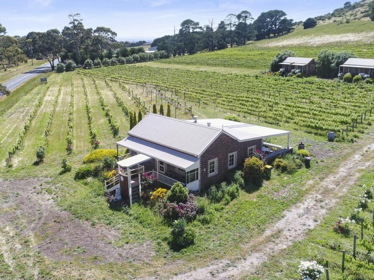 Staughton Vale Vineyard offers a top drop for lifestyle buyers
